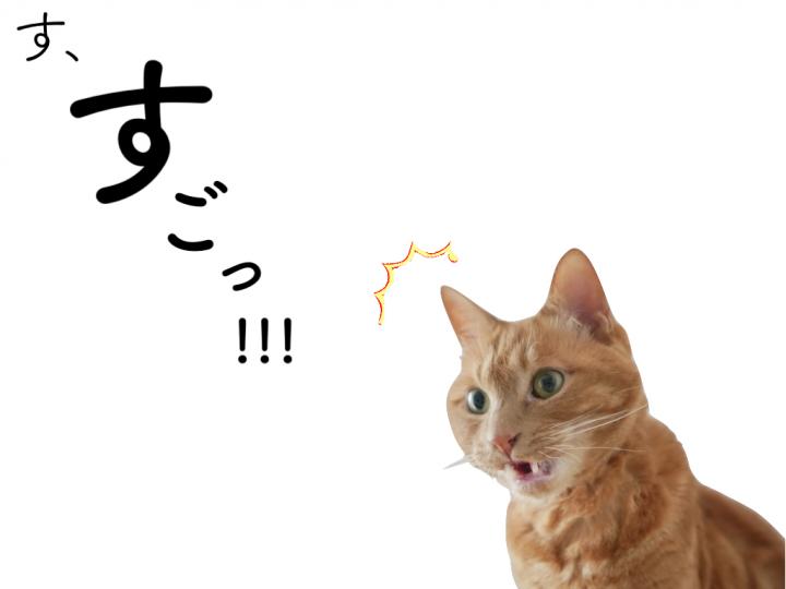 お勧め!!!大人気!!!高濃度ビタミンC点滴